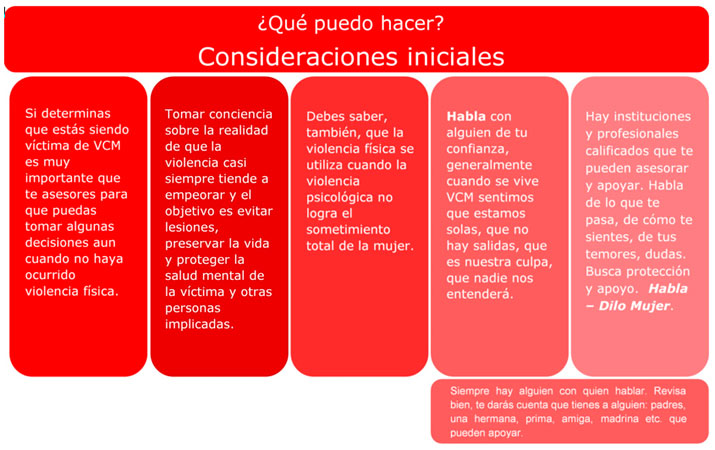 Consideraciones iniciales